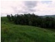 Mungalli QLD 4886