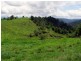 Mungalli QLD 4886
