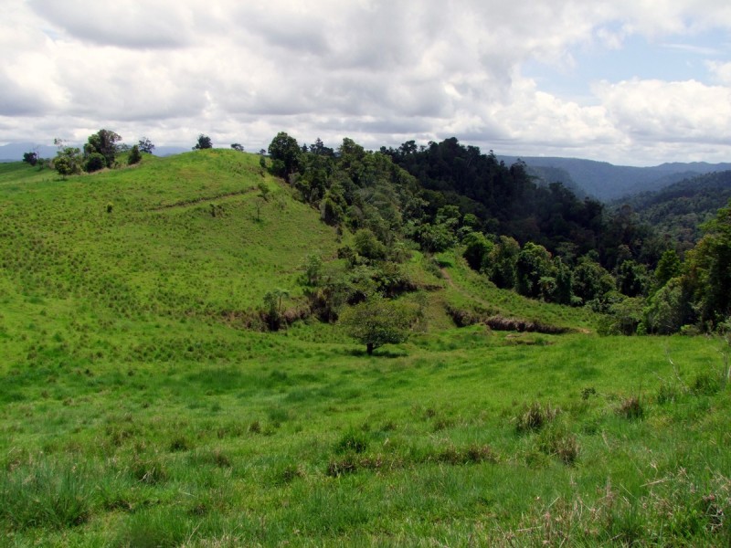 Mungalli QLD 4886