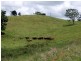 Mungalli QLD 4886