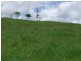 Mungalli QLD 4886