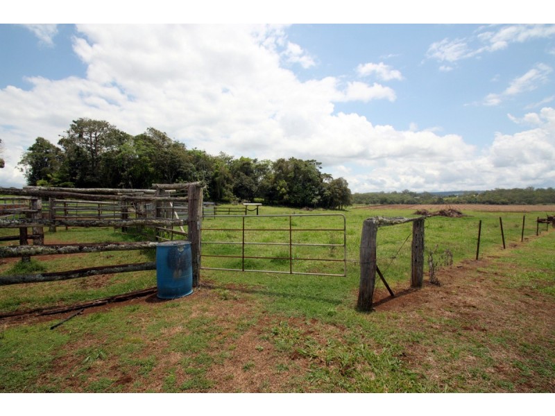 Yungaburra QLD 4884
