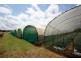 Yungaburra QLD 4884
