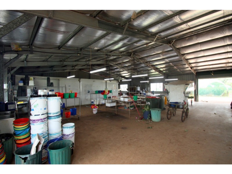 Yungaburra QLD 4884