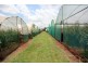 Yungaburra QLD 4884