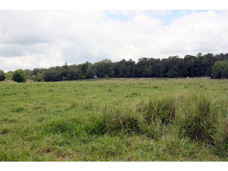 Yungaburra QLD 4884