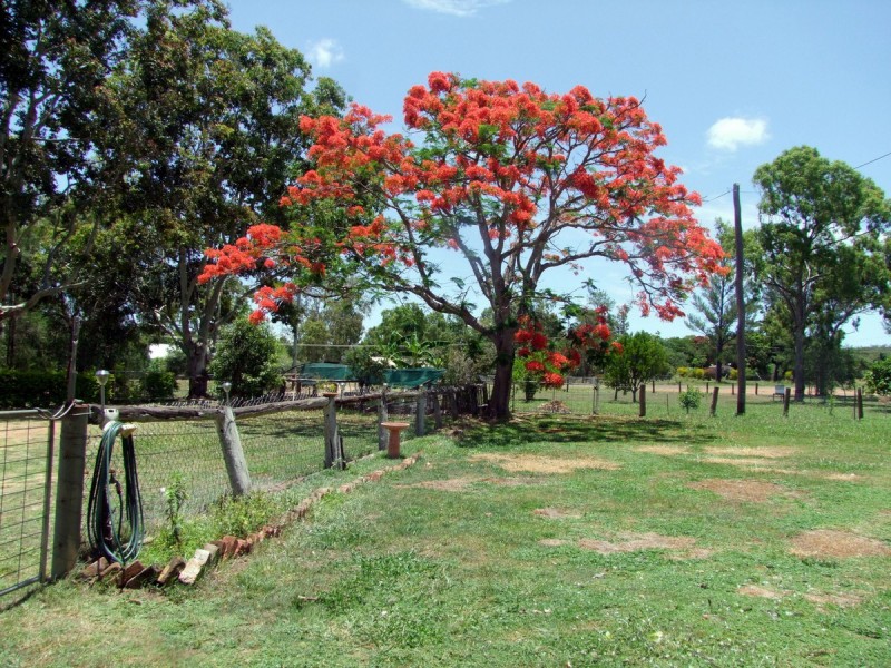 Mount Garnet QLD 4872