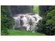 Millaa Millaa QLD 4886