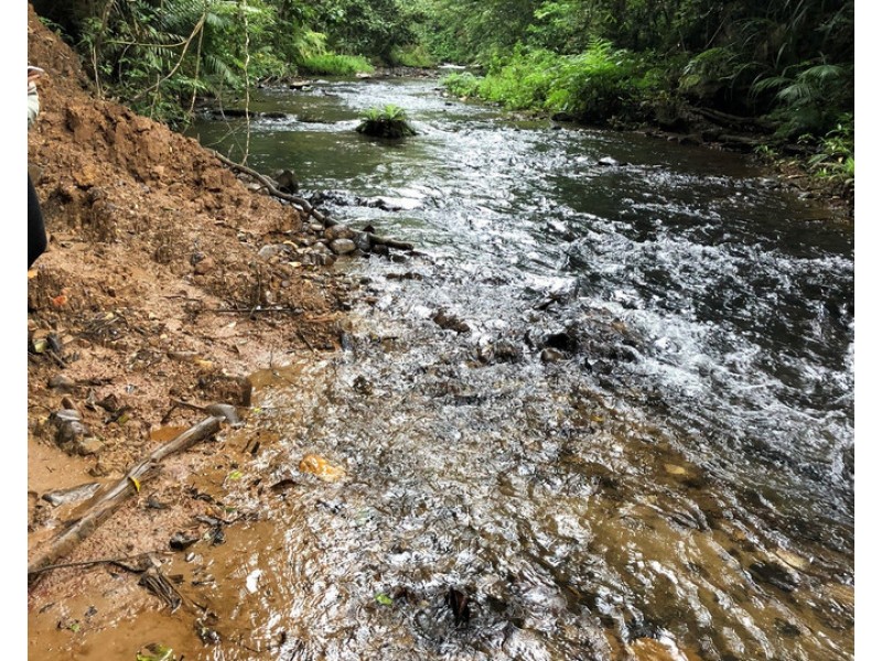 Butchers Creek QLD 4885