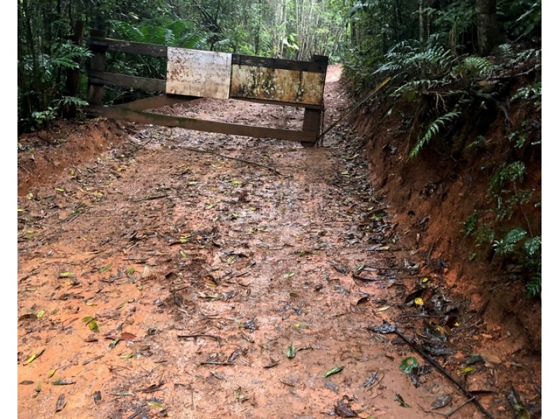 Butchers Creek QLD 4885