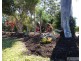 Malanda QLD 4885