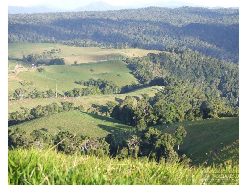 Mungalli QLD 4886