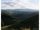 Mungalli QLD 4886