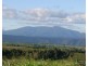 Mungalli QLD 4886