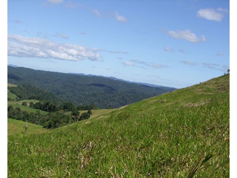 Mungalli QLD 4886