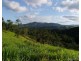 Mungalli QLD 4886