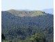 Mungalli QLD 4886