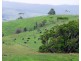 Millaa Millaa QLD 4886