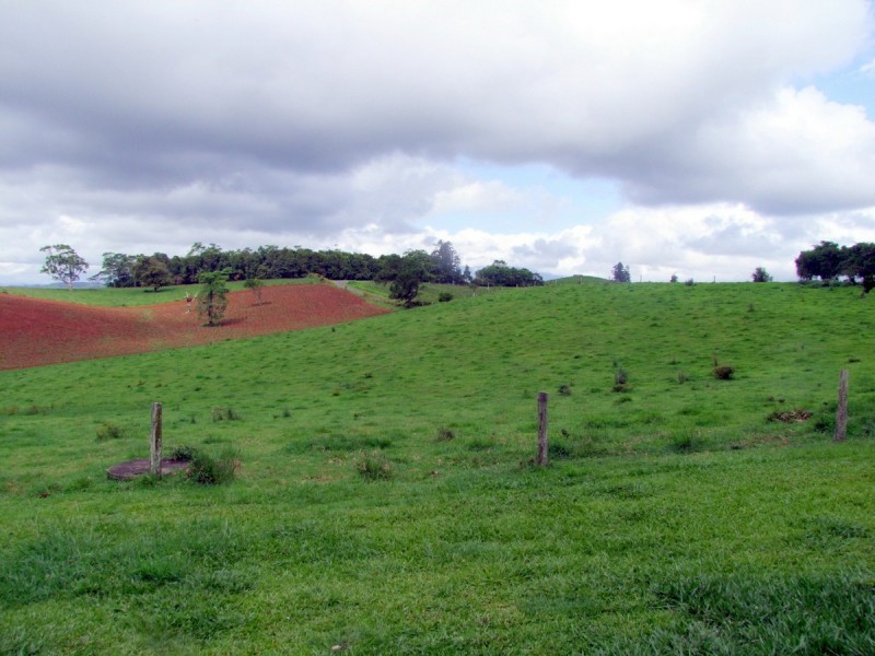 Millaa Millaa QLD 4886