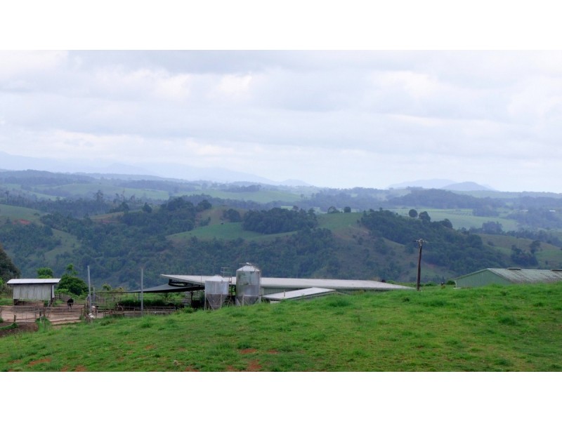 Millaa Millaa QLD 4886