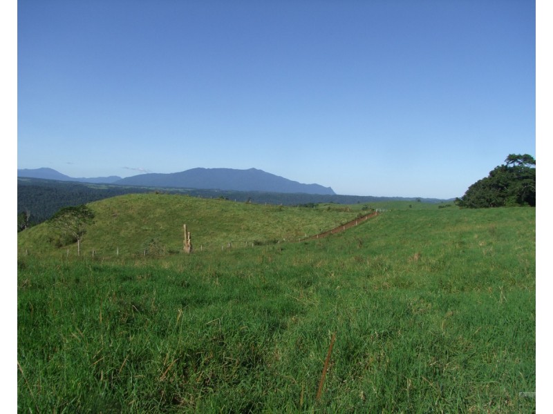 Millaa Millaa QLD 4886