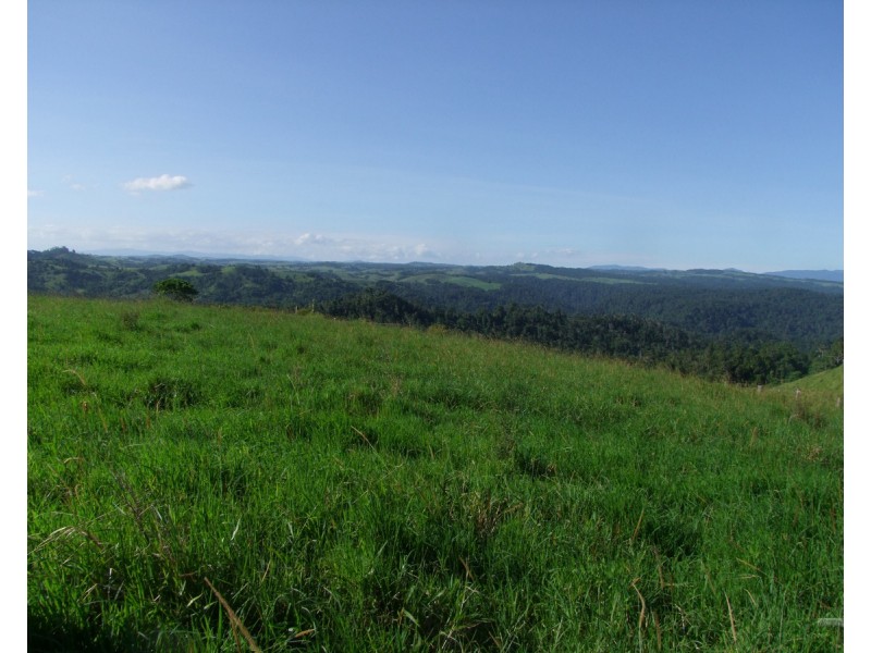 Millaa Millaa QLD 4886