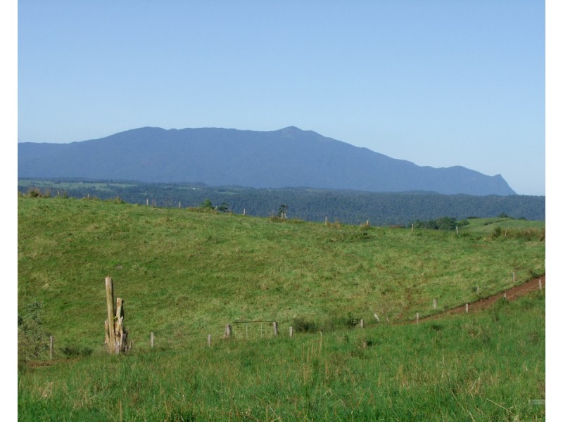 Millaa Millaa QLD 4886