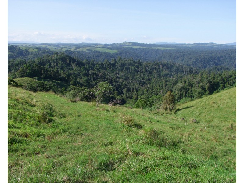 Millaa Millaa QLD 4886