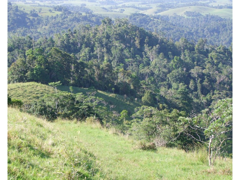 Millaa Millaa QLD 4886