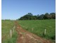 Millaa Millaa QLD 4886