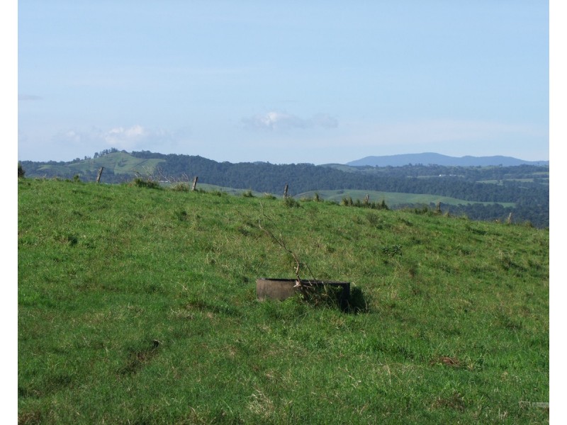 Millaa Millaa QLD 4886