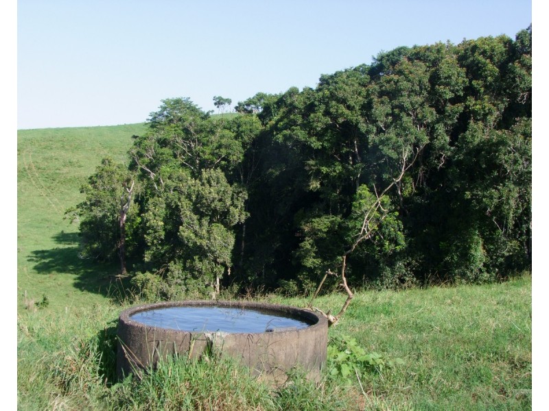 Millaa Millaa QLD 4886