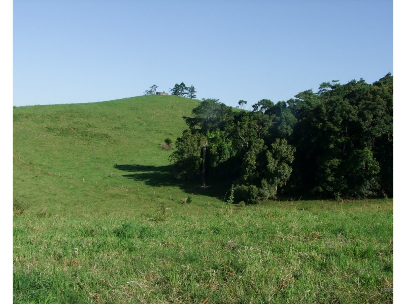 Millaa Millaa QLD 4886