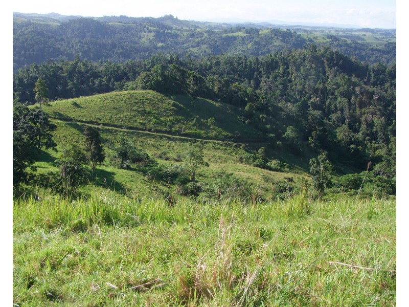 Millaa Millaa QLD 4886