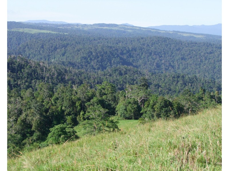 Millaa Millaa QLD 4886