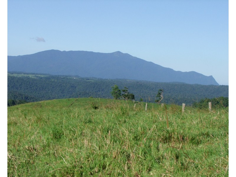 Millaa Millaa QLD 4886