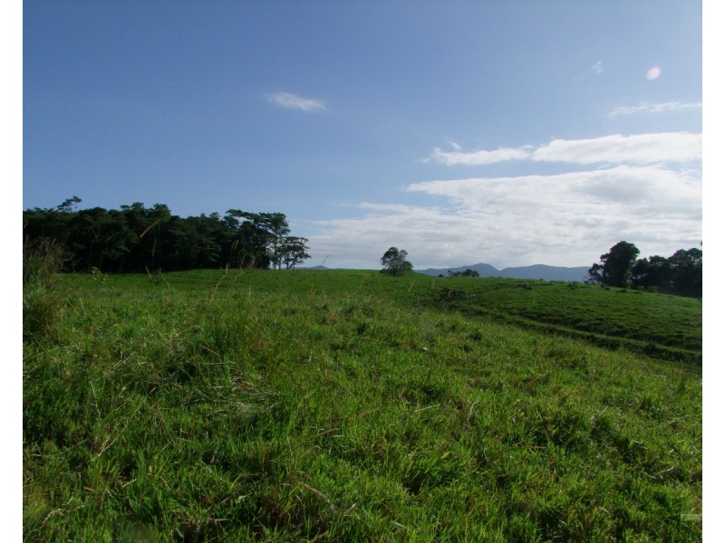 Millaa Millaa QLD 4886