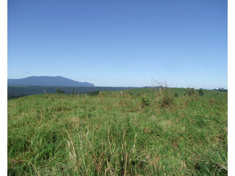 Millaa Millaa QLD 4886