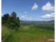 East Palmerston QLD 4860