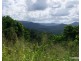 East Palmerston QLD 4860