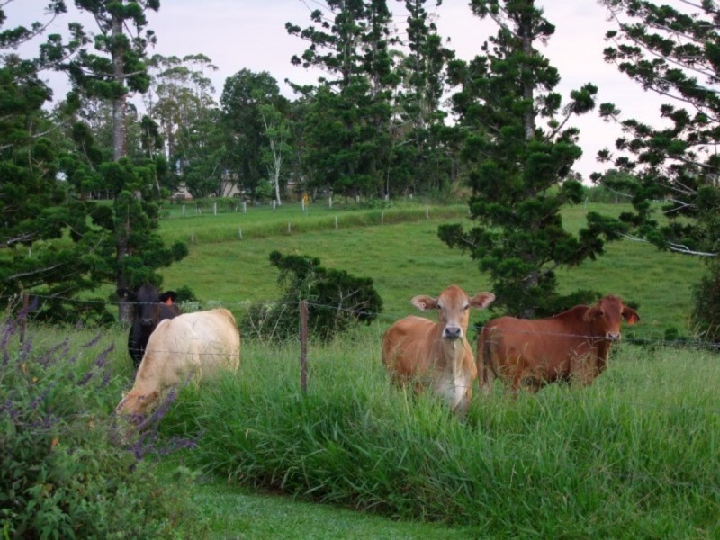 Beatrice QLD 4886