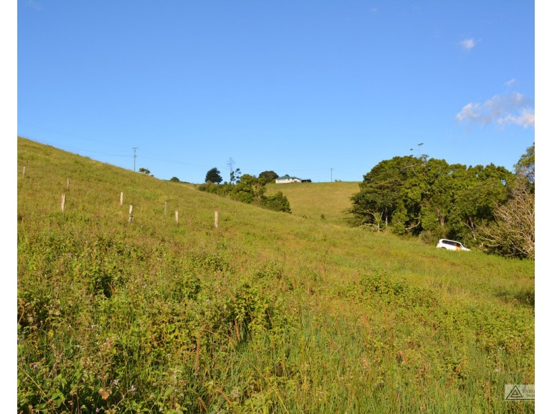 Millaa Millaa QLD 4886