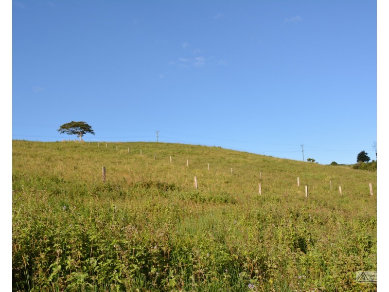 Millaa Millaa QLD 4886