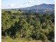 Millaa Millaa QLD 4886