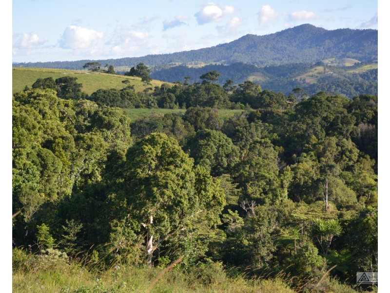 Millaa Millaa QLD 4886