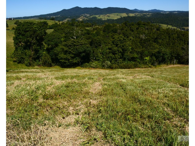 Millaa Millaa QLD 4886