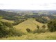 Millaa Millaa QLD 4886
