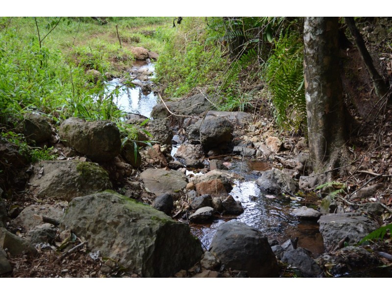 Millaa Millaa QLD 4886