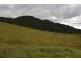 Millaa Millaa QLD 4886