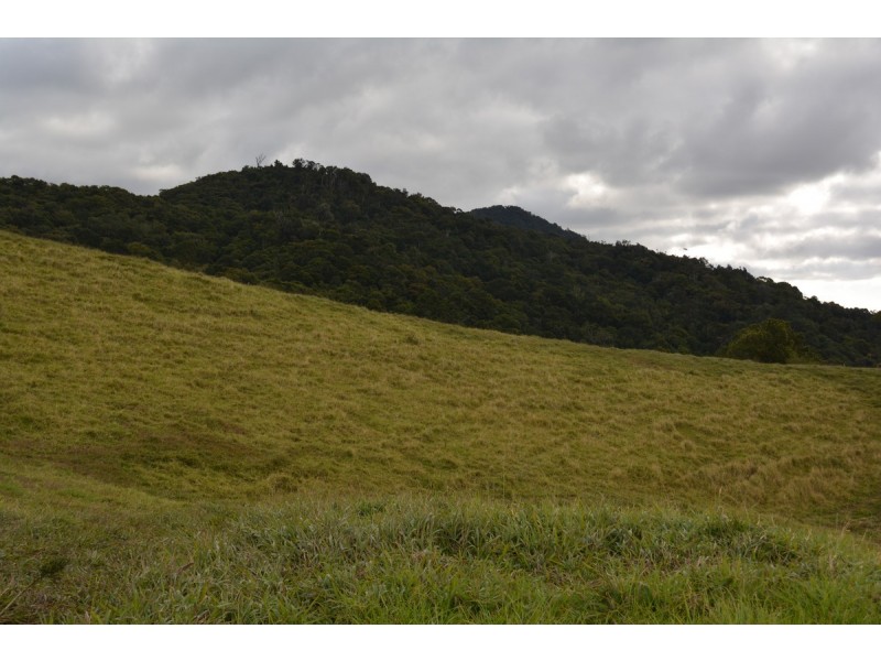 Millaa Millaa QLD 4886